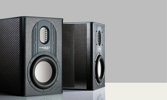 Evolution Acoustice Model One