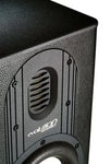 Evolution Acoustice Model One